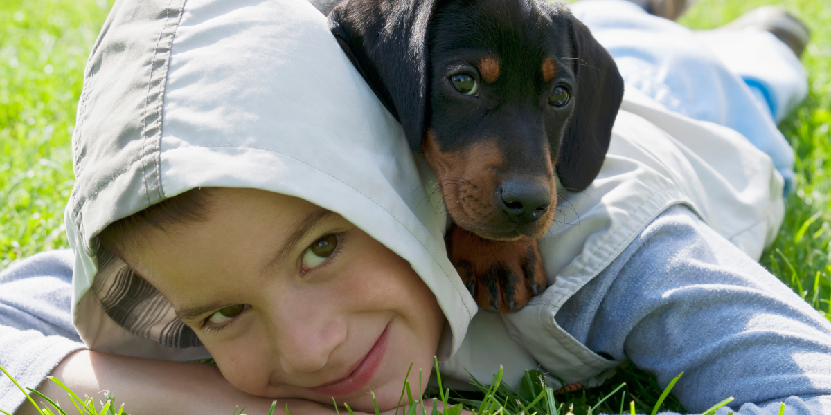 Are Dachshunds good with Kids - Von Hound and Friends