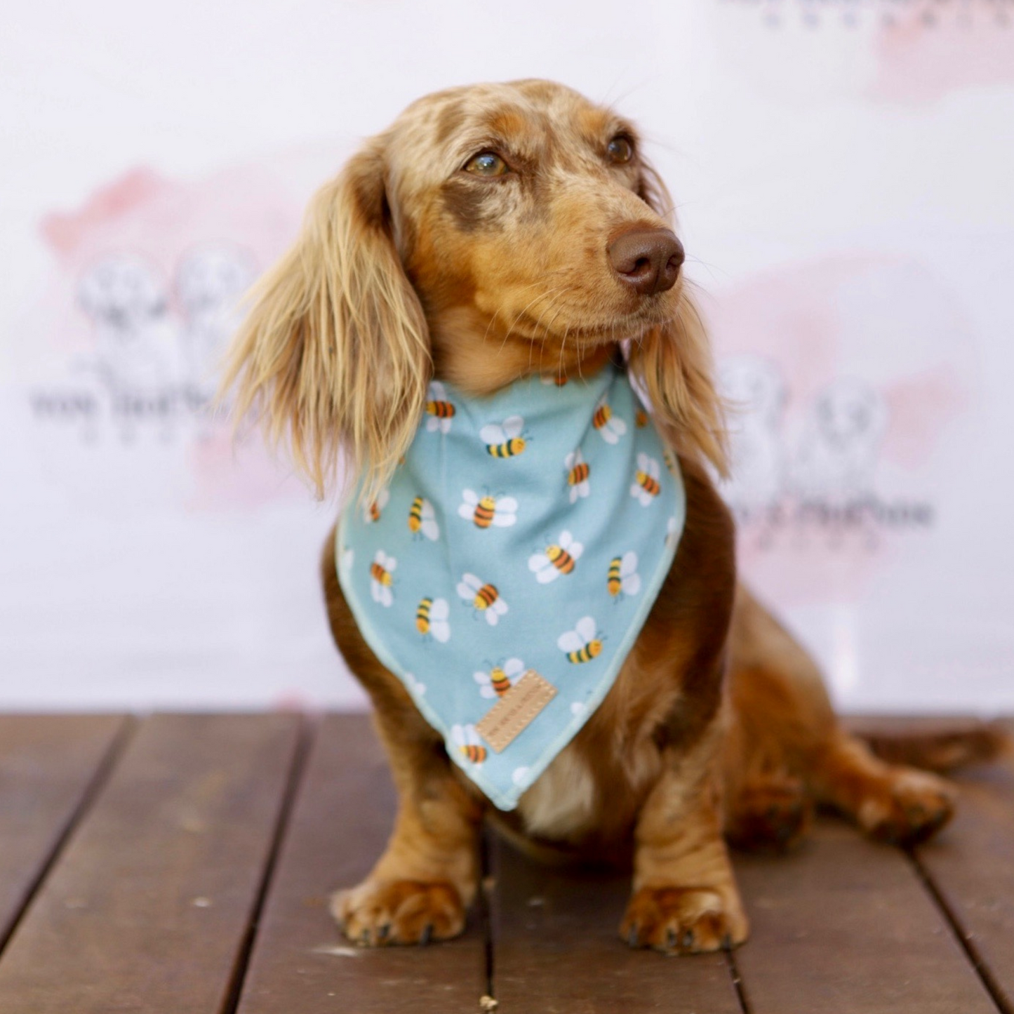 Bandana with Bees - Von Hound and Friends