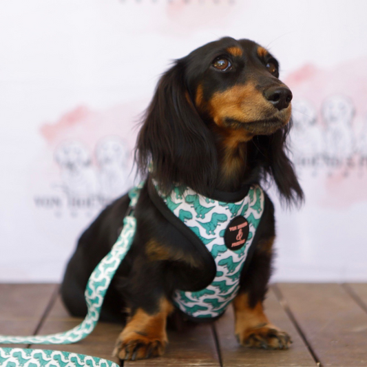 adjustable dog harness australia