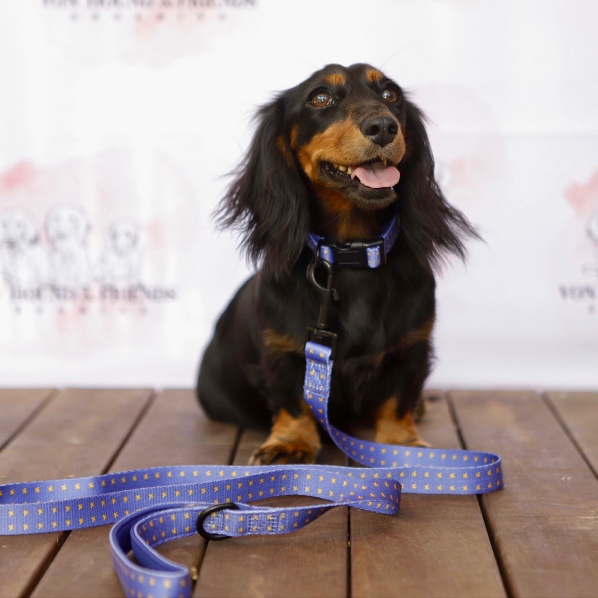 soft lead dog leash