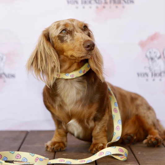 Love Heart Print Dog Collar - Von Hound and Friends