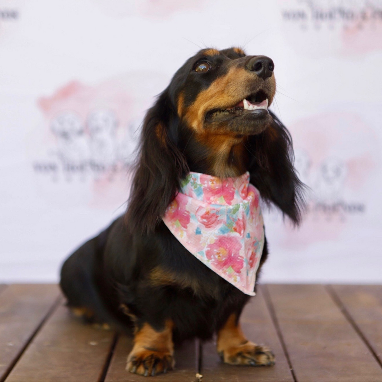 Pink Floral Pet Bandana - Von Hound and Friends