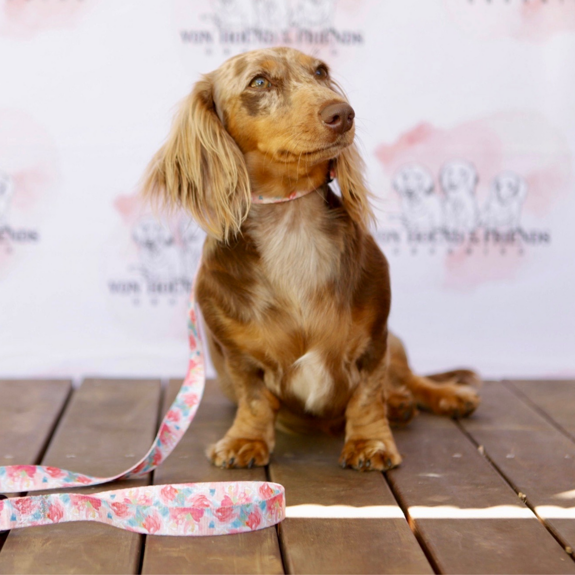 Soft Dog Collar with pink flowers - Von Hound and Friends