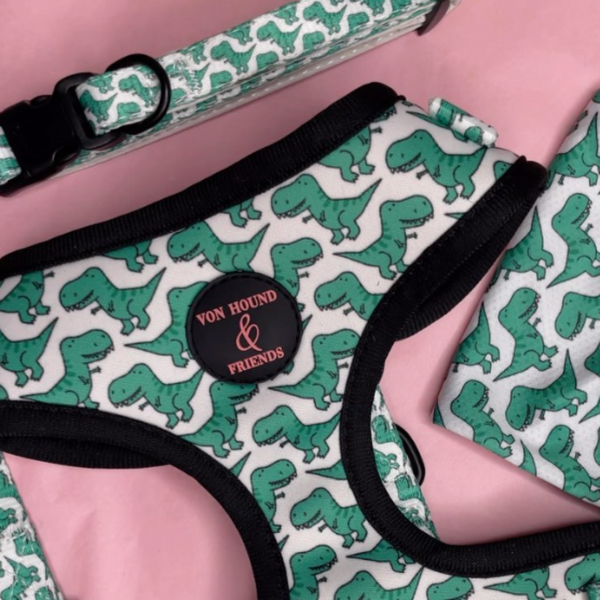 FIRST EDITION COLLECTION