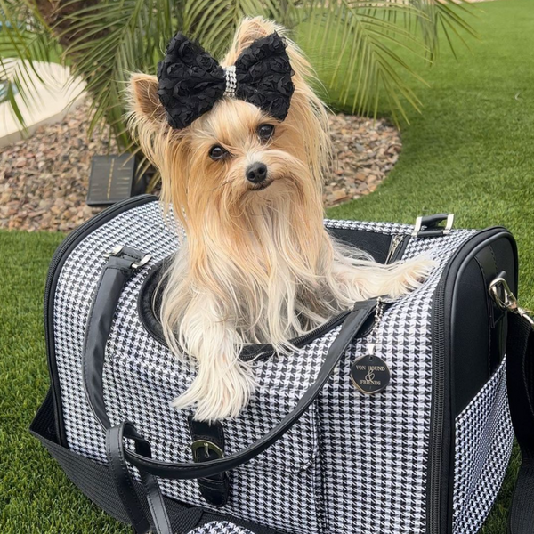 Dog Carriers Australia