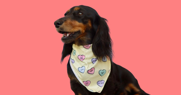 AMANTIUS HEART COLLECTION