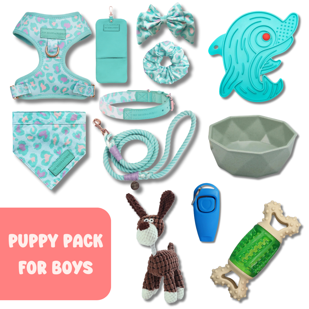 Puppy Bundle For Boys