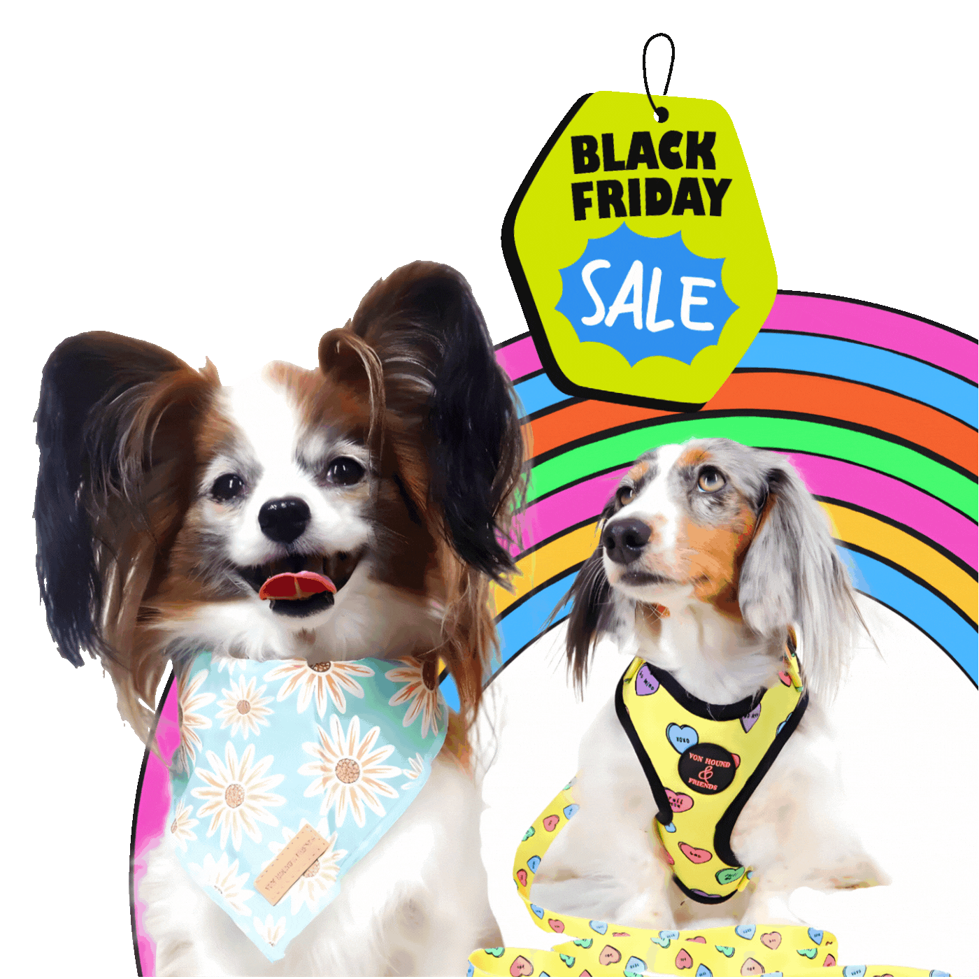 Image showing a dog wearing a harness and a collar, and another with a bandana.