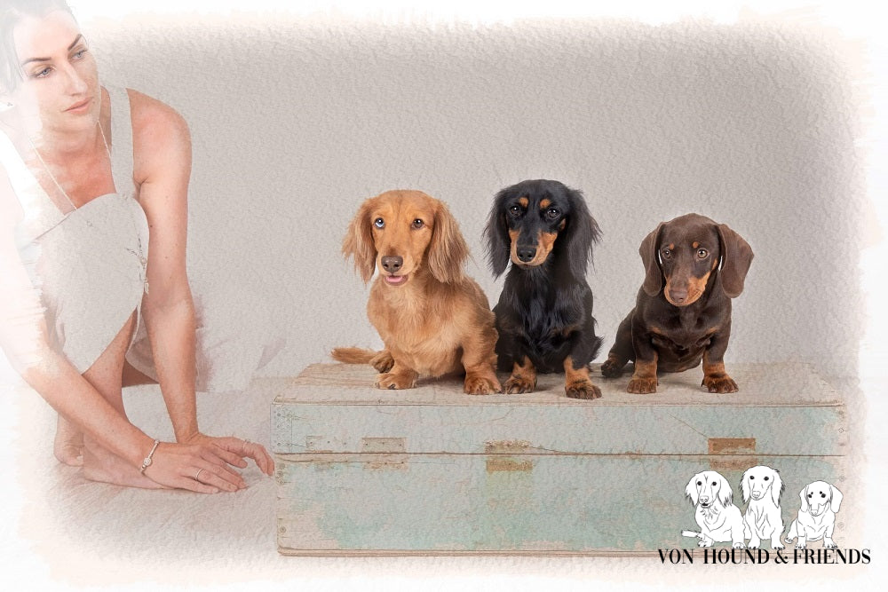 Image of Shannon, Von Hound and Friends Owner, and her dogs | Von Hound and Friends | Premium Dog Accessories in Australia