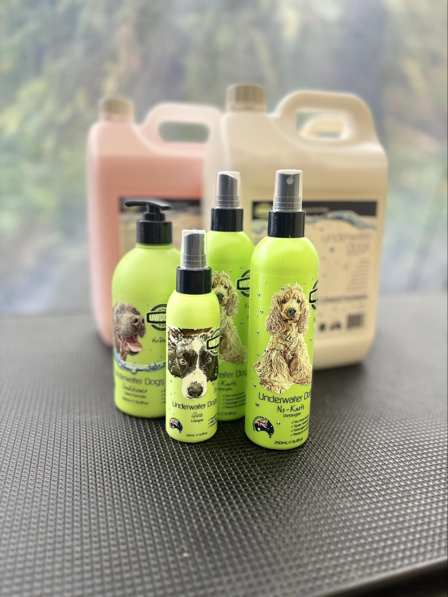Photo of dog care products