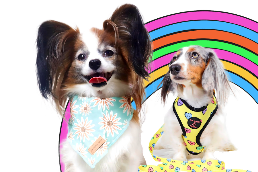 TURN EVERY WALK INTO A RUNWAY