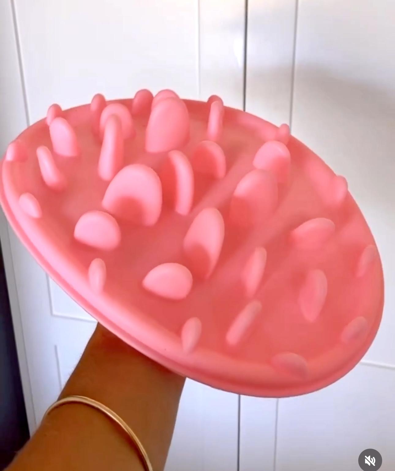 Photo of dog slow feeder