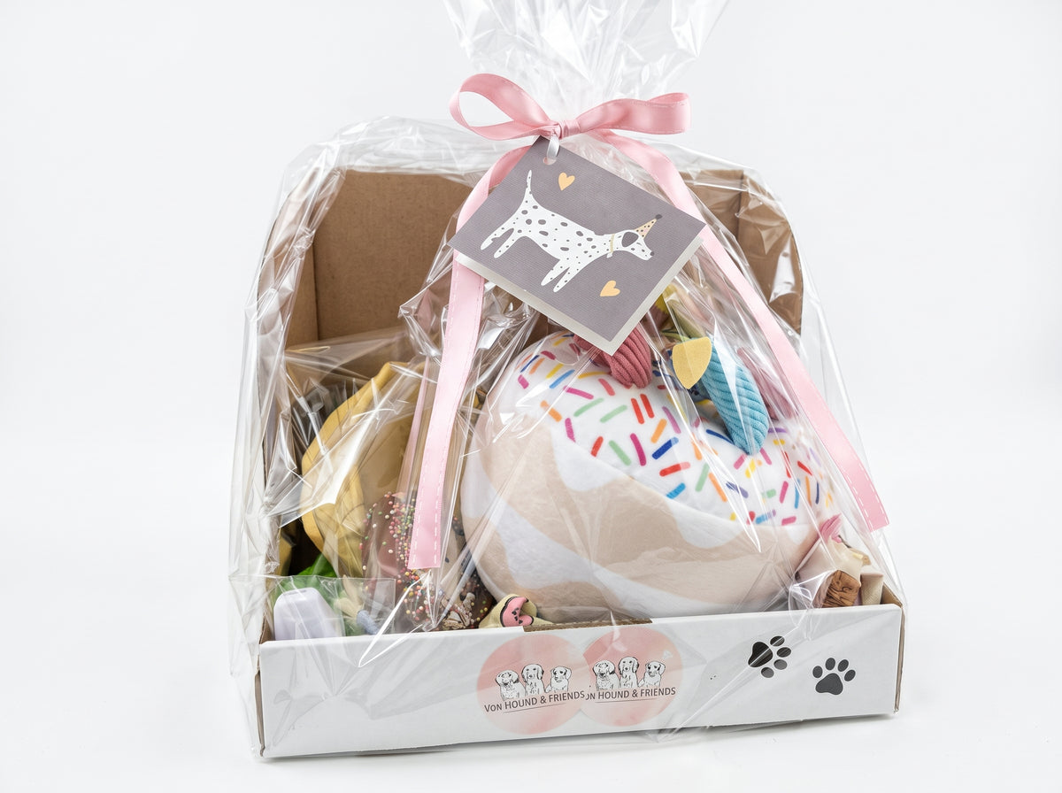 Ultimate Birthday Box for Dogs - Von Hound and Friends