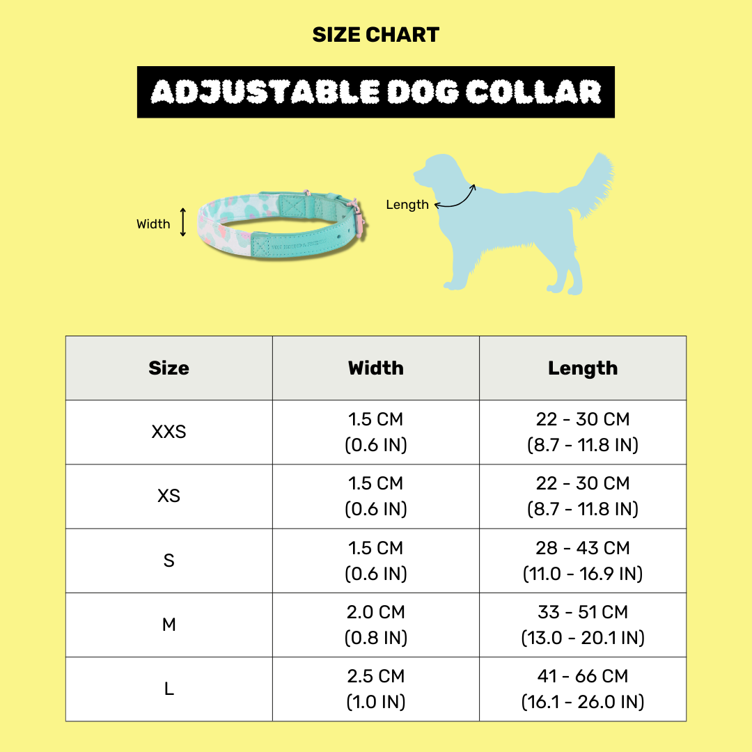 RAWR-tastic Dog Collar - Von Hound and Friends