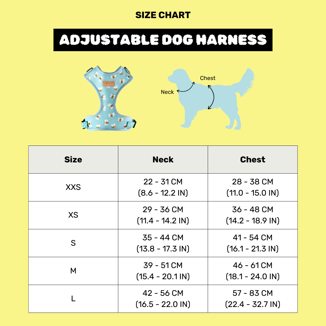 RAWR-tastic Adjustable Dog Harness - Von Hound and Friends