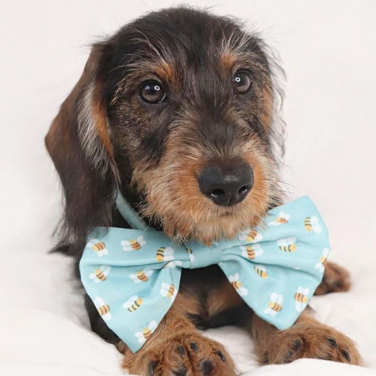 Bee Dog Bow Tie-  Von Hound and Friends