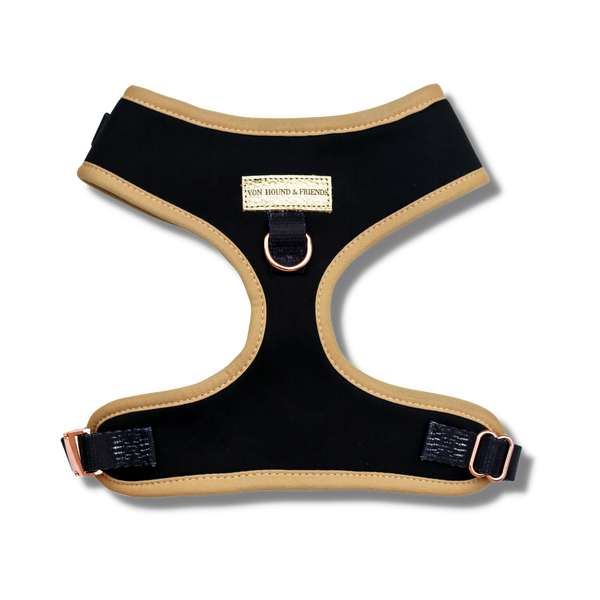 Black and store gold dog harness