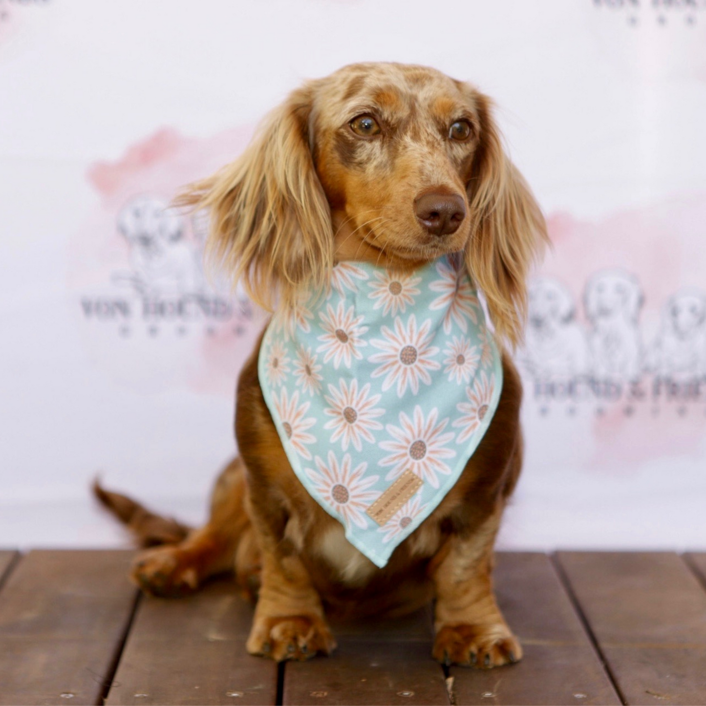 Cute Daisy Dog Bandana - Von Hound and Friends