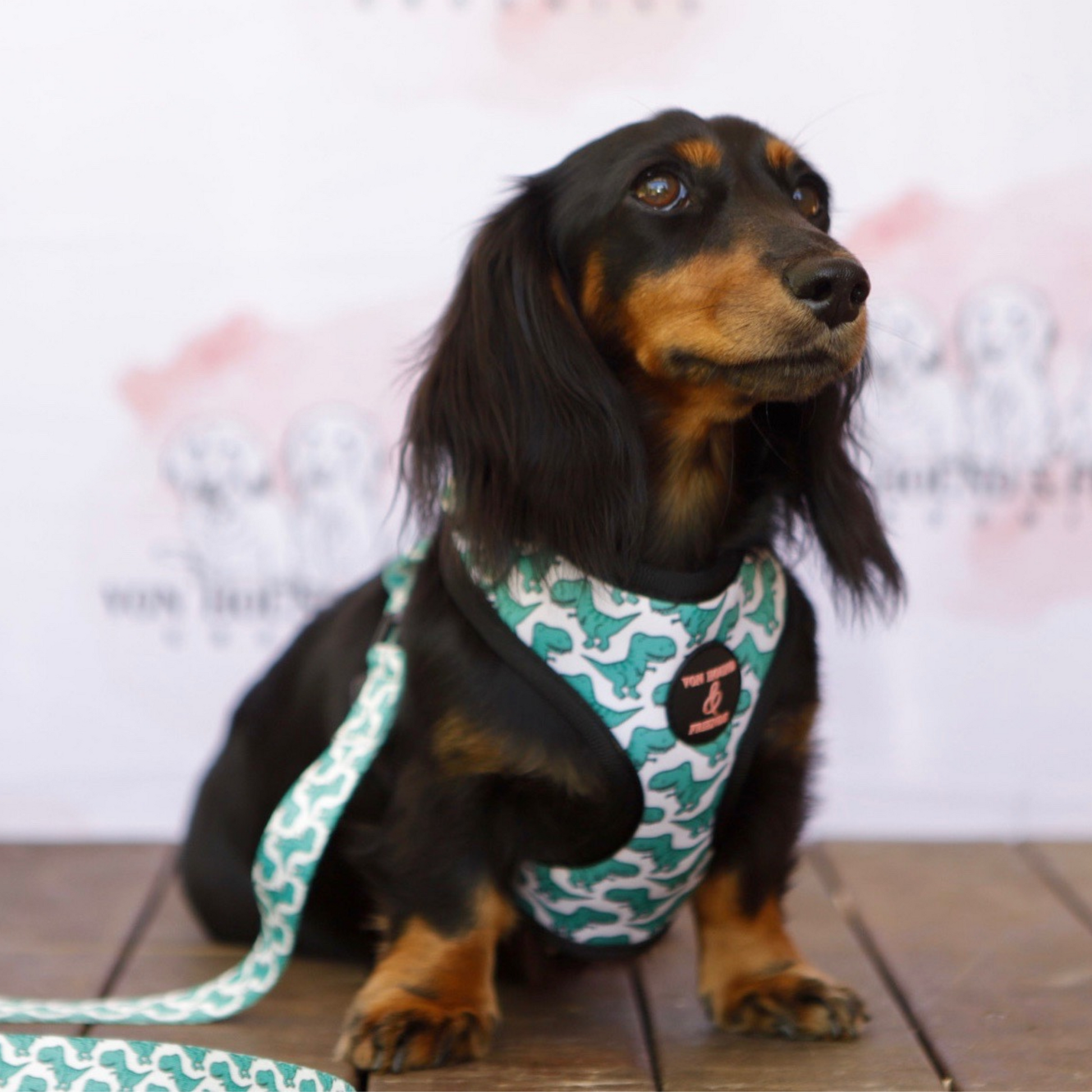 Dinosaur Dog Harness - Von Hound and Friends