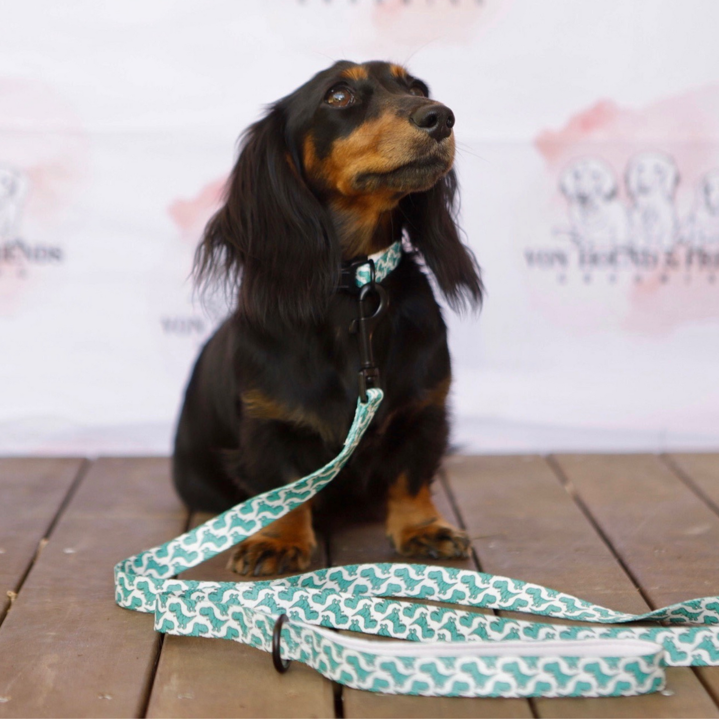 Dinosaur Dog Leash - Von Hound and Friends