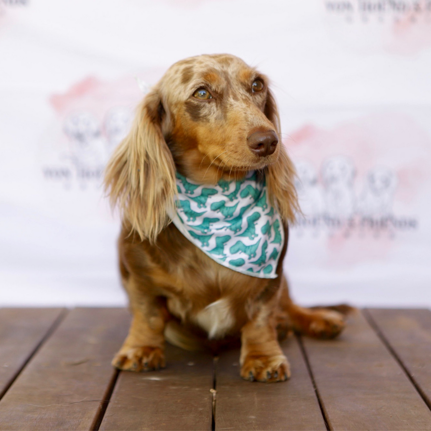 Dinosaur Pet Bandana - Von Hound and Friends