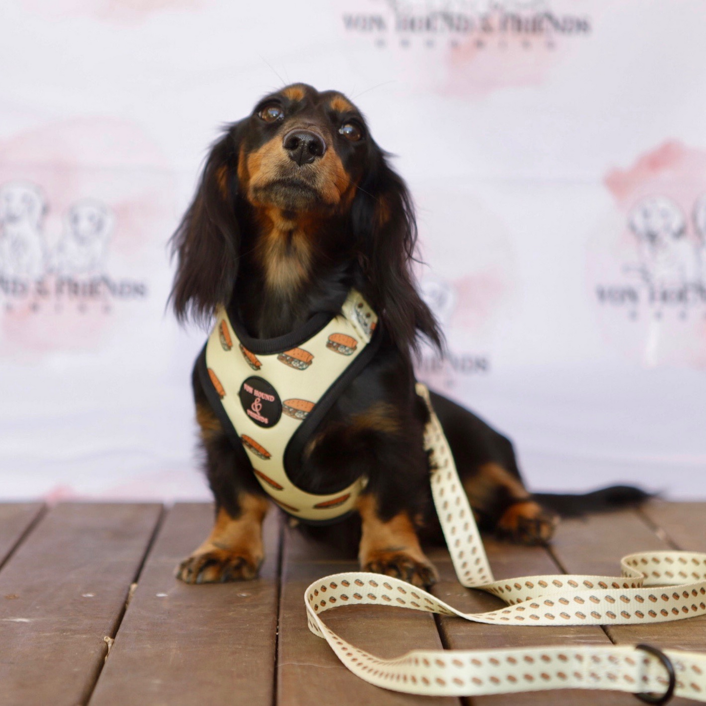 Dog Harness that is adjustable - Von Hound and Friends