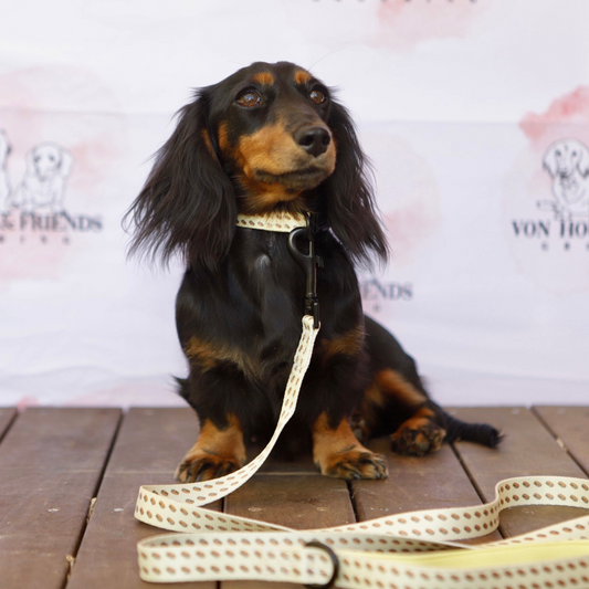 Fabric Dog Collar - Von Hound and Friends