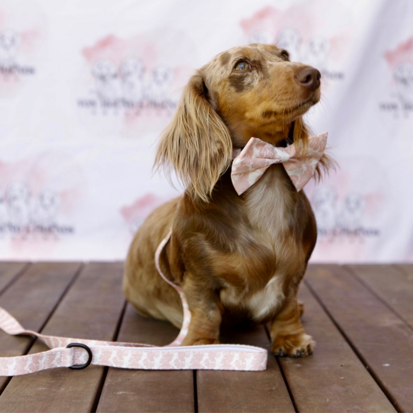 Floral Dog Collar - Von Hound and Friends