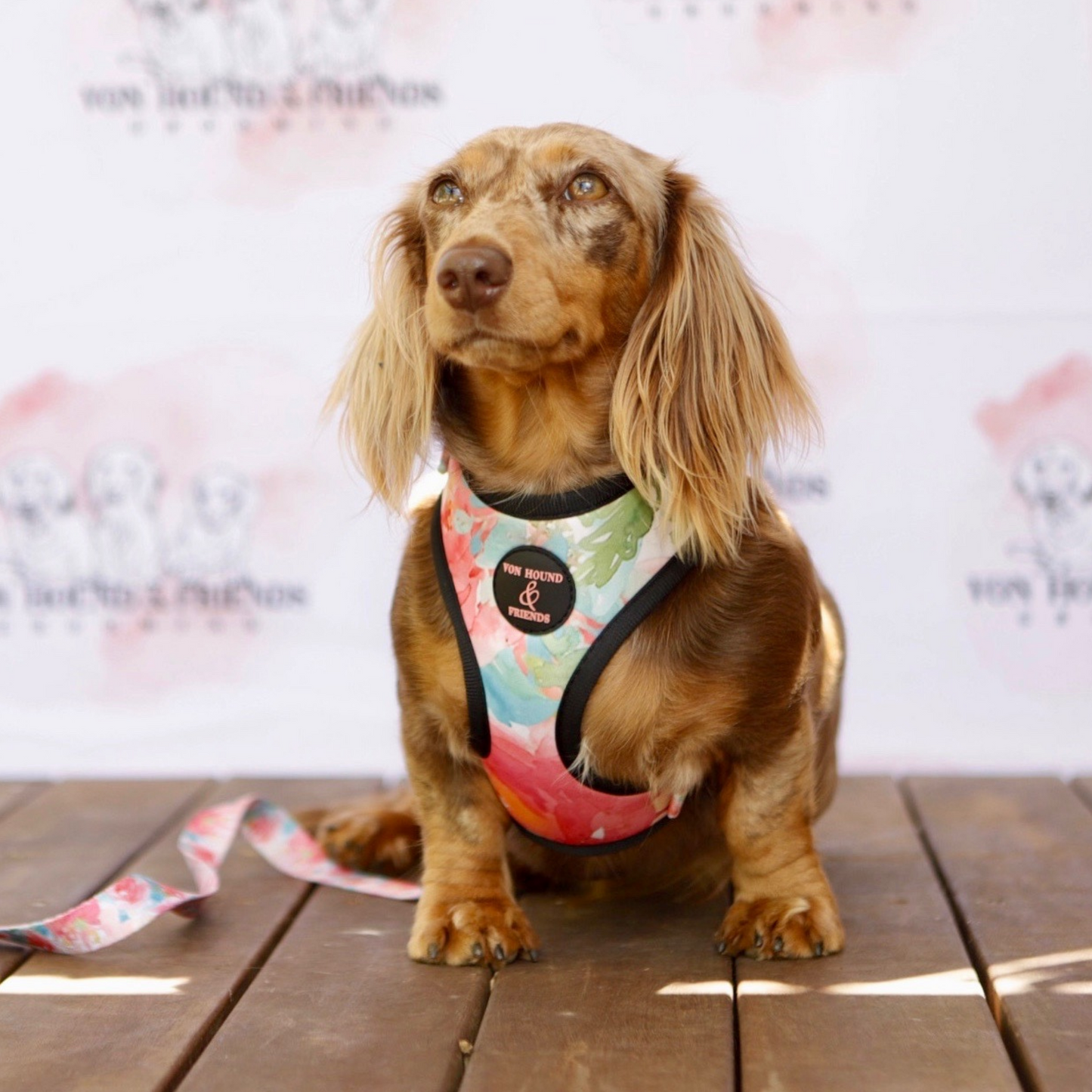 Flower Adjustable Harness for dogs - Von Hound and Friends