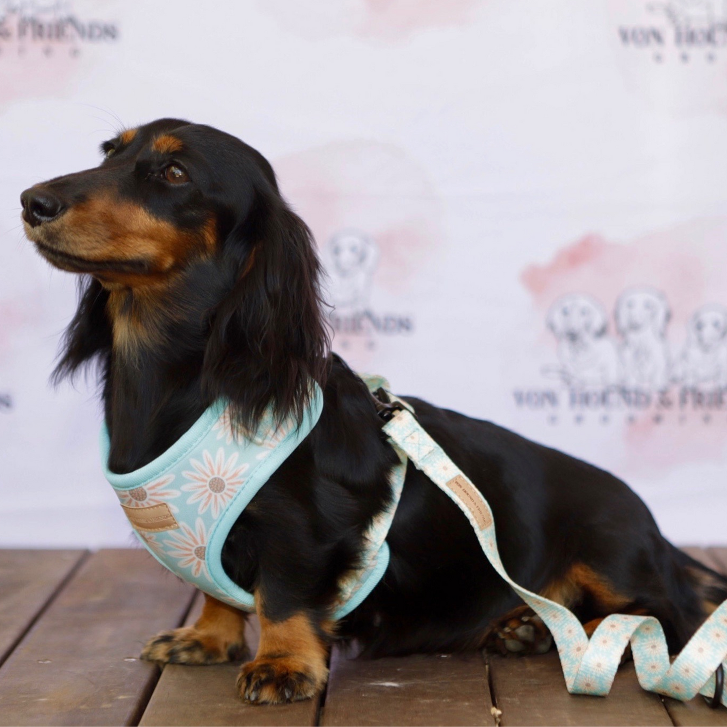 Flower Dog Leash - Von Hound and Friends