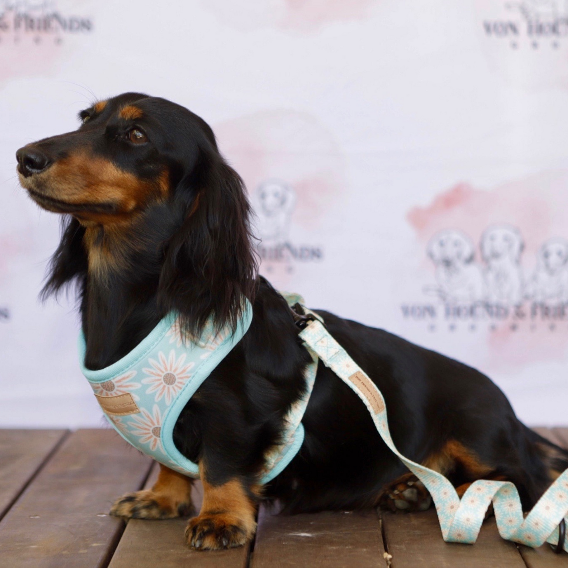 Flower Dog Leash - Von Hound and Friends