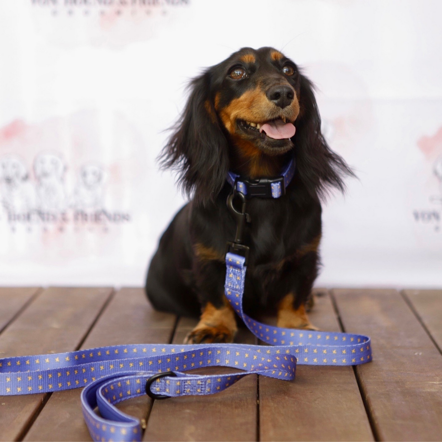 Lead for Dogs by Von Hound and Friends