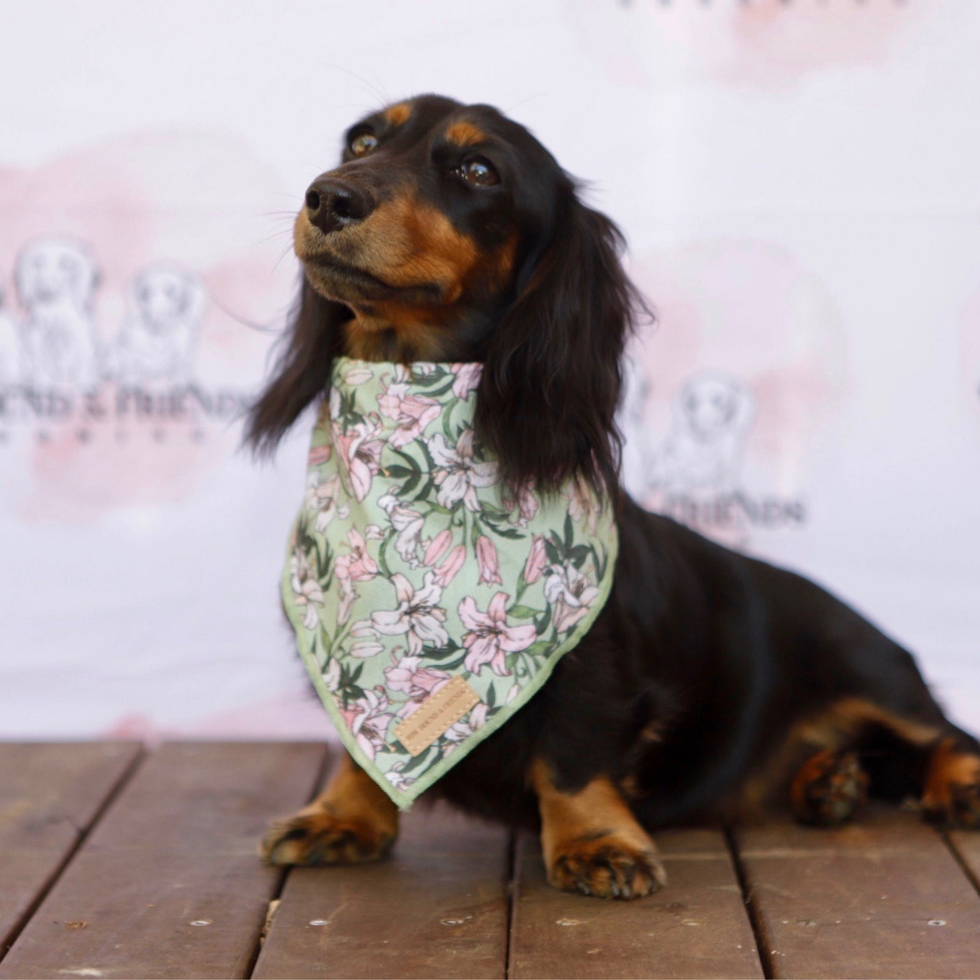 Lily Flower Bandana - Von Hound and Friends