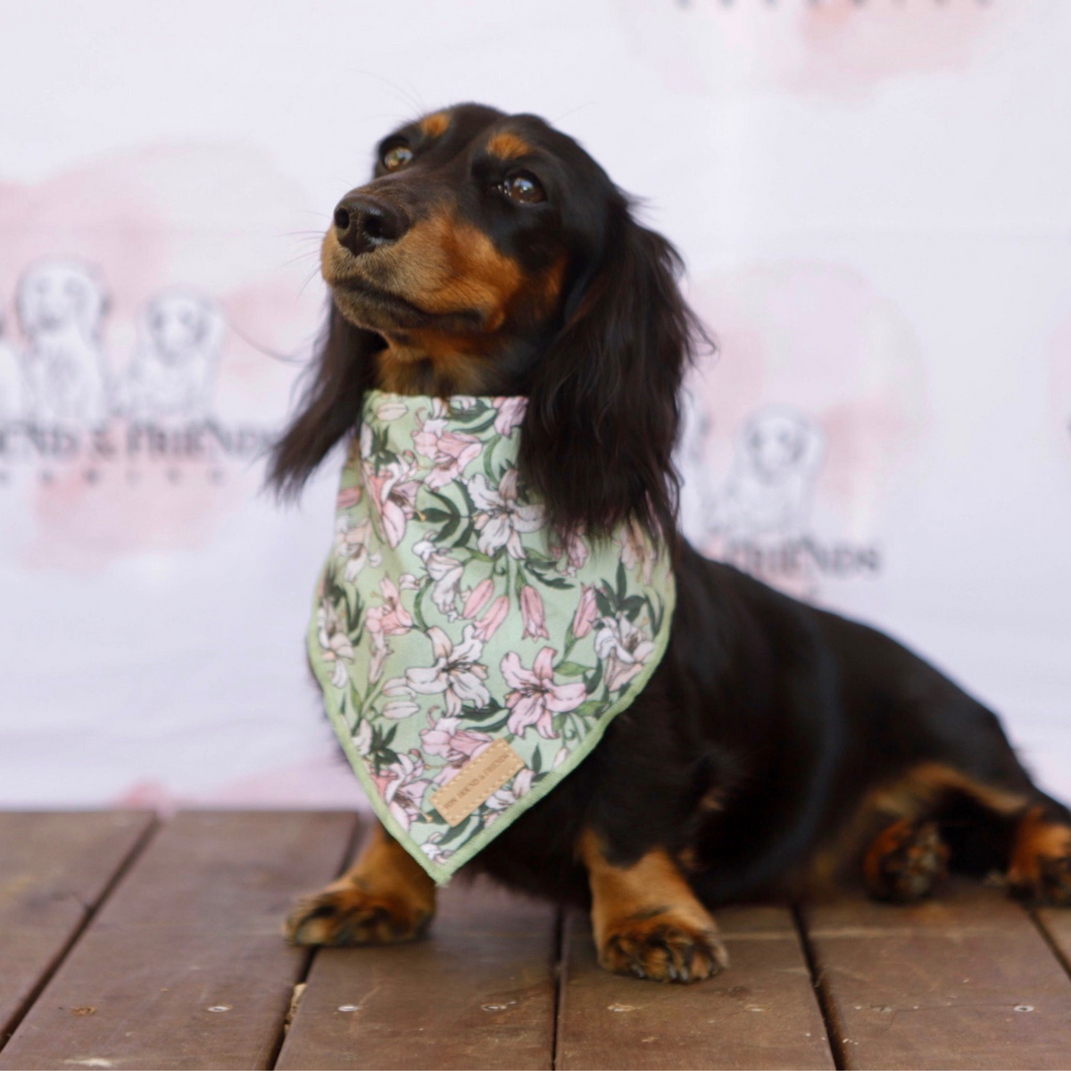 Lily Flower Bandana Von Hound and Friends