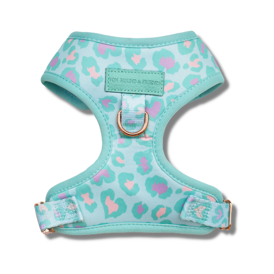 Blue Crush Leopard Collection - Von Hound and Friends