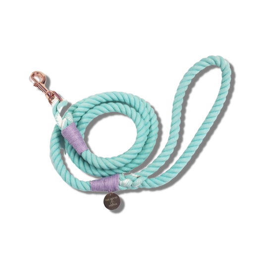 Mint Green Rope Dog Leash - Von Hound and Friends