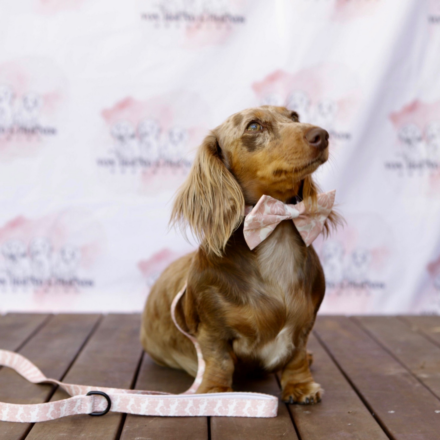 Pink Dog Leash - Von Hound and Friends