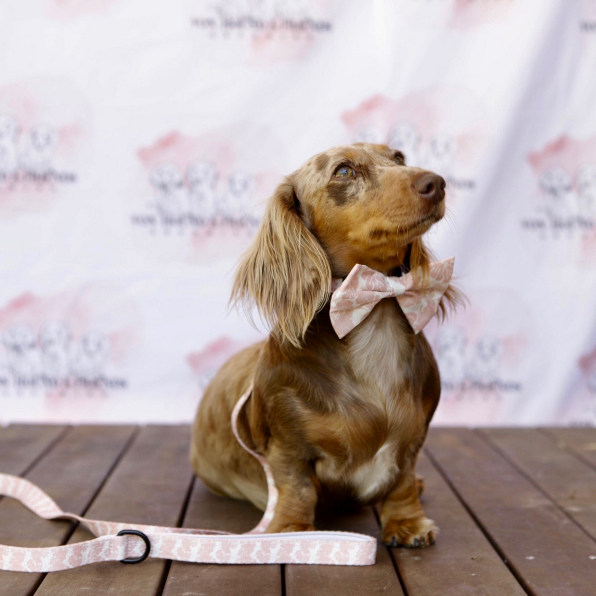 Pink Dog Leash - Von Hound and Friends