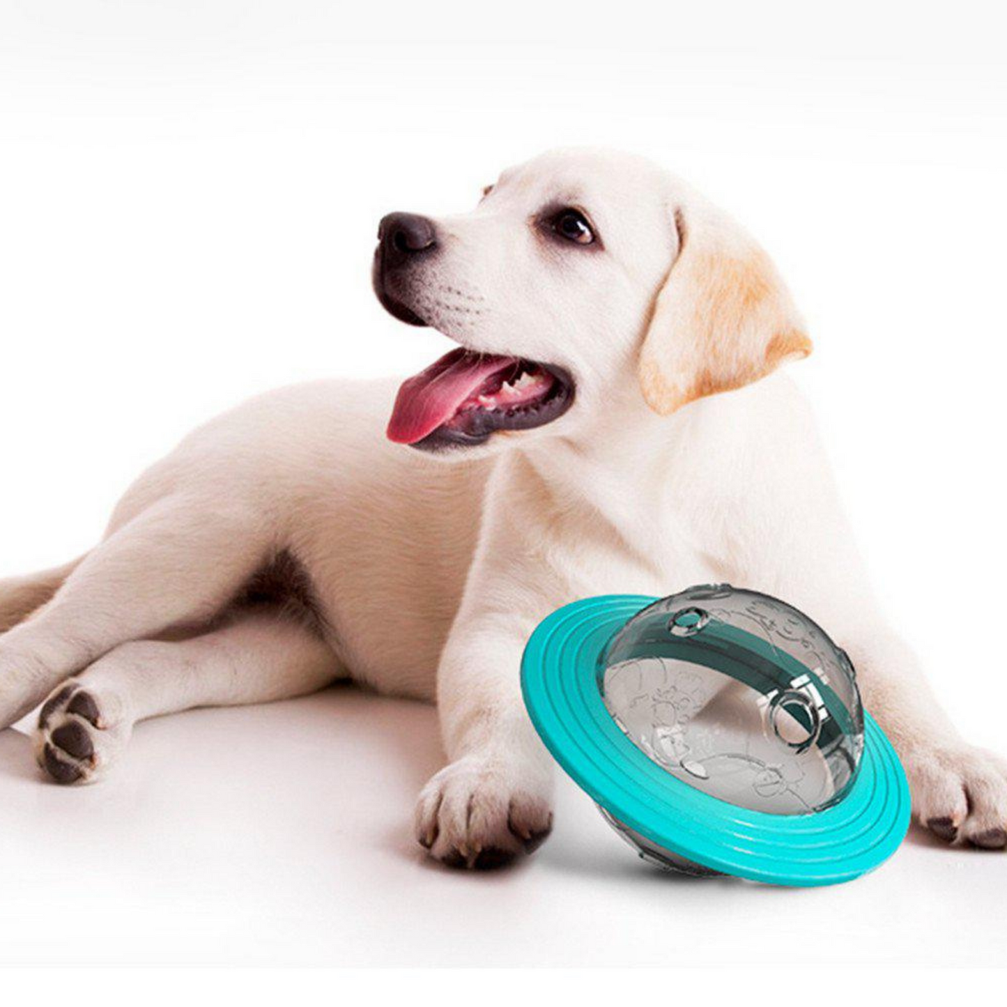 Puppy Interactive Feeding Toy by von hound and friends