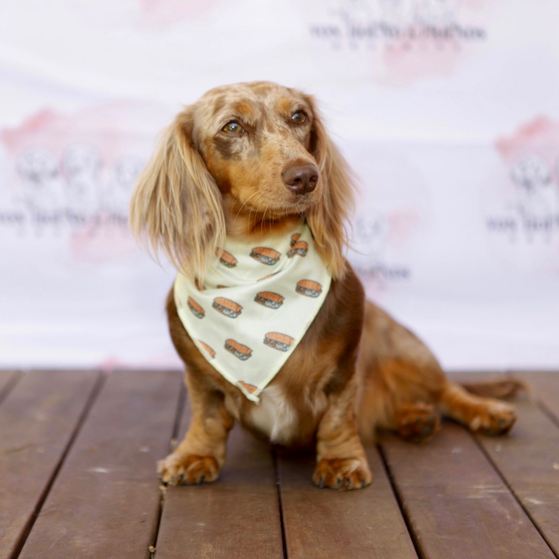 Sausage Sandwich Dog Bandana - Von Hound and Friends