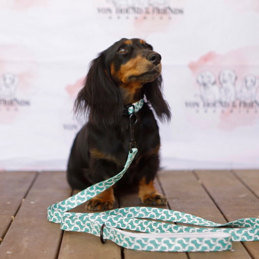 Soft Dog Collar with Dinosaurs - Von Hound and Friends