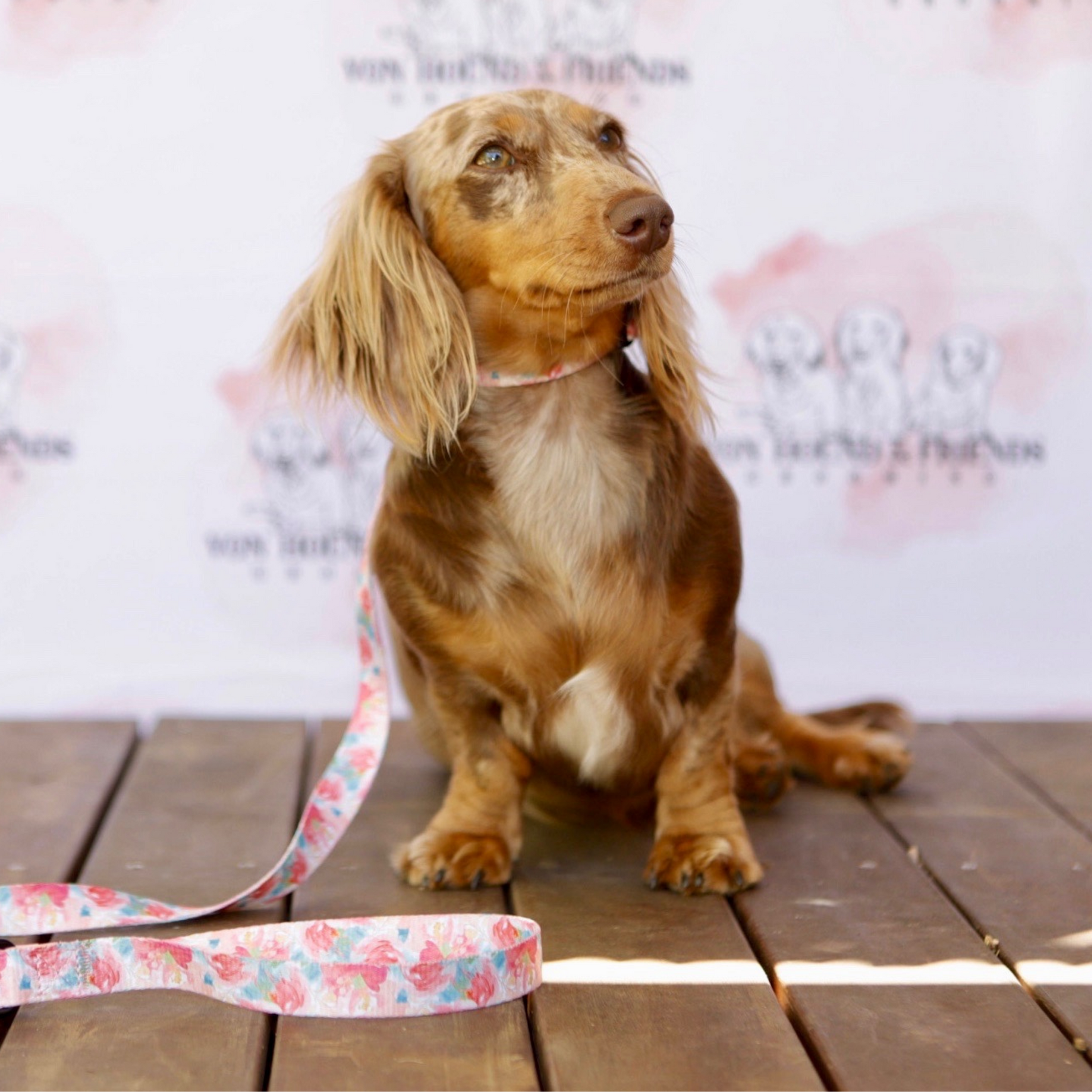 Soft Dog Collar with flowers - Von Hound and Friends