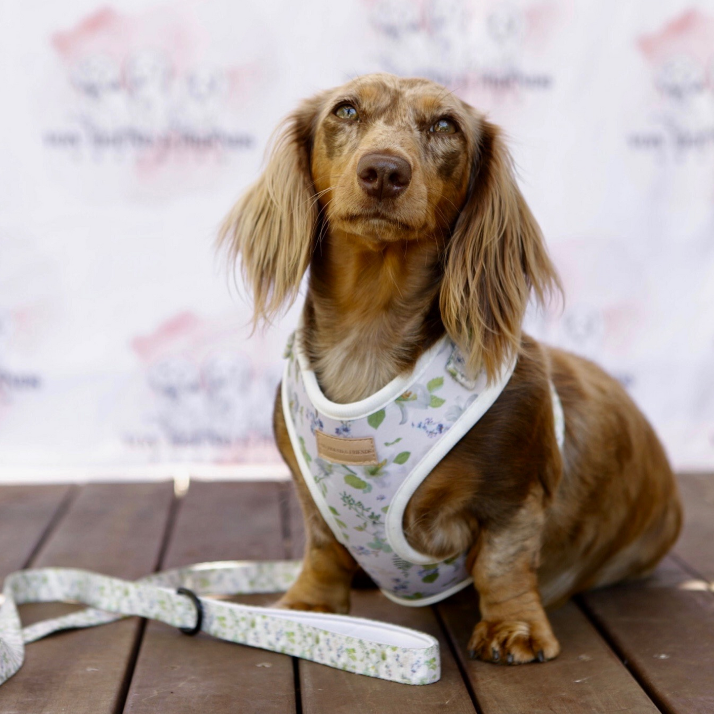 White Floral Soft Dog Leads - Von Hound and Friends