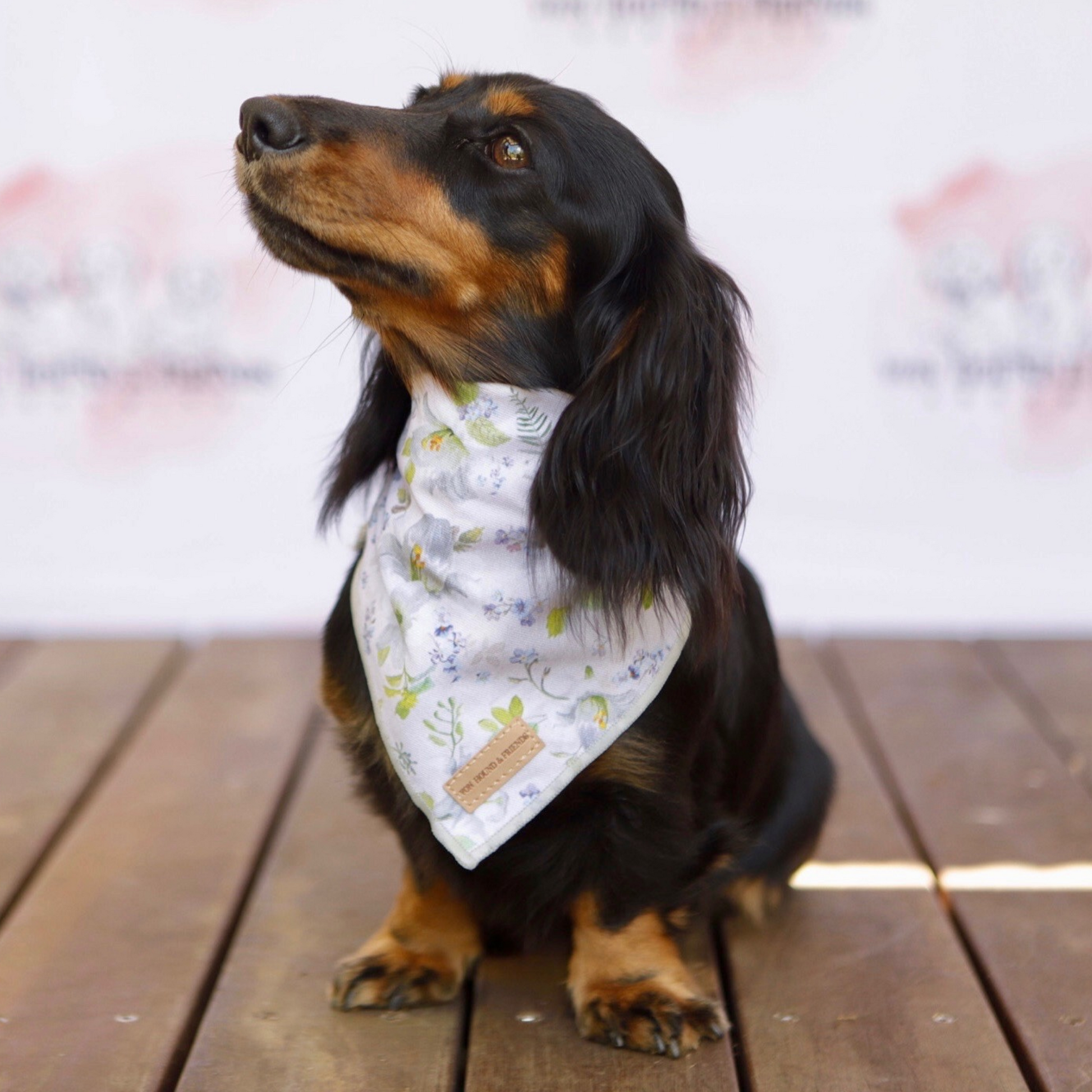 White Pastel Puppy Bandanas - Von Hound and Friends